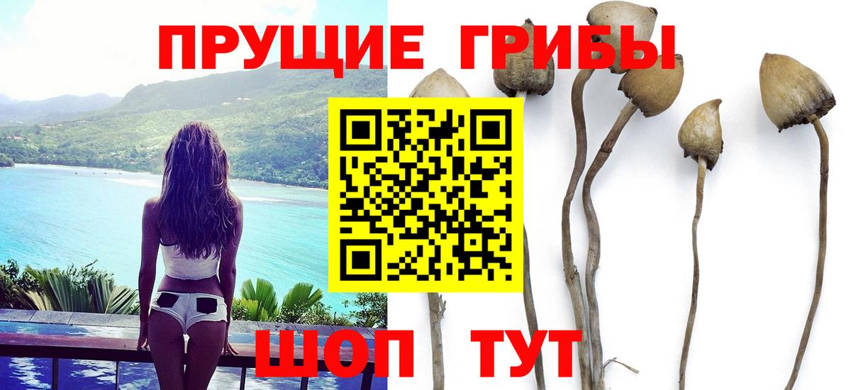 закладка  Псилоцибиновые грибы Psilocybine cubensis  Вход с VPN  Топки 
